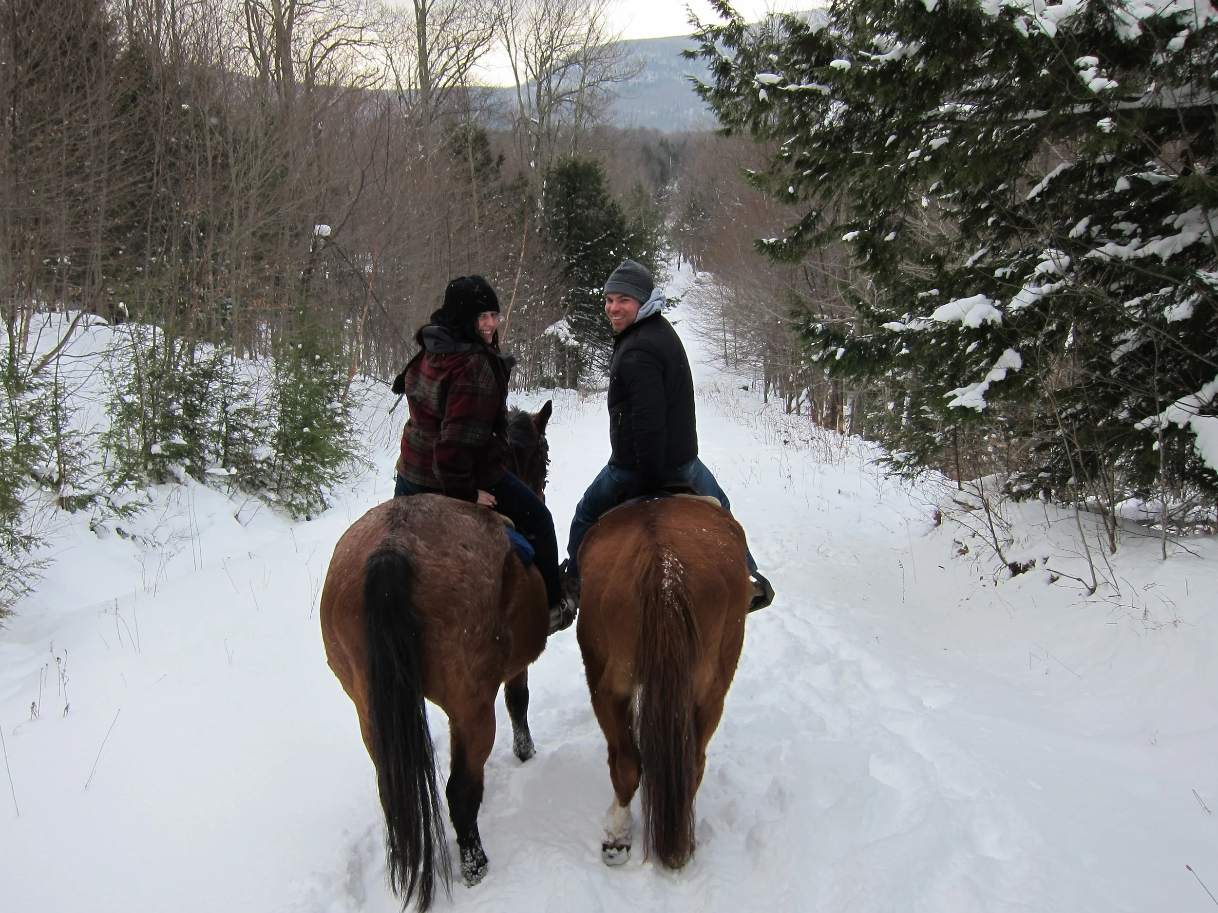 Horseback Riding