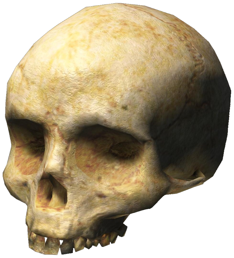 Halo 3 Skull.png