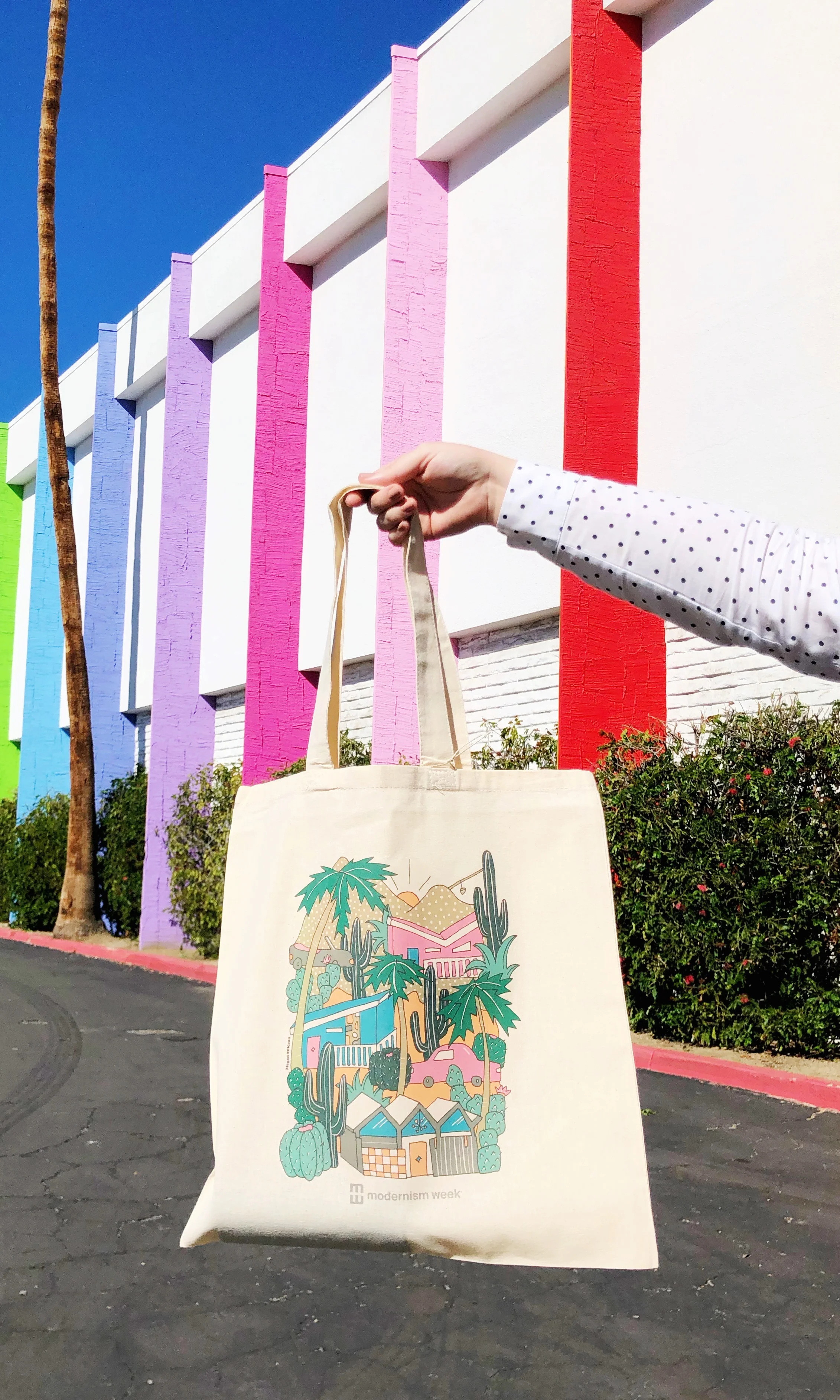 modernismweek_palmsprings_meganmckean.jpeg