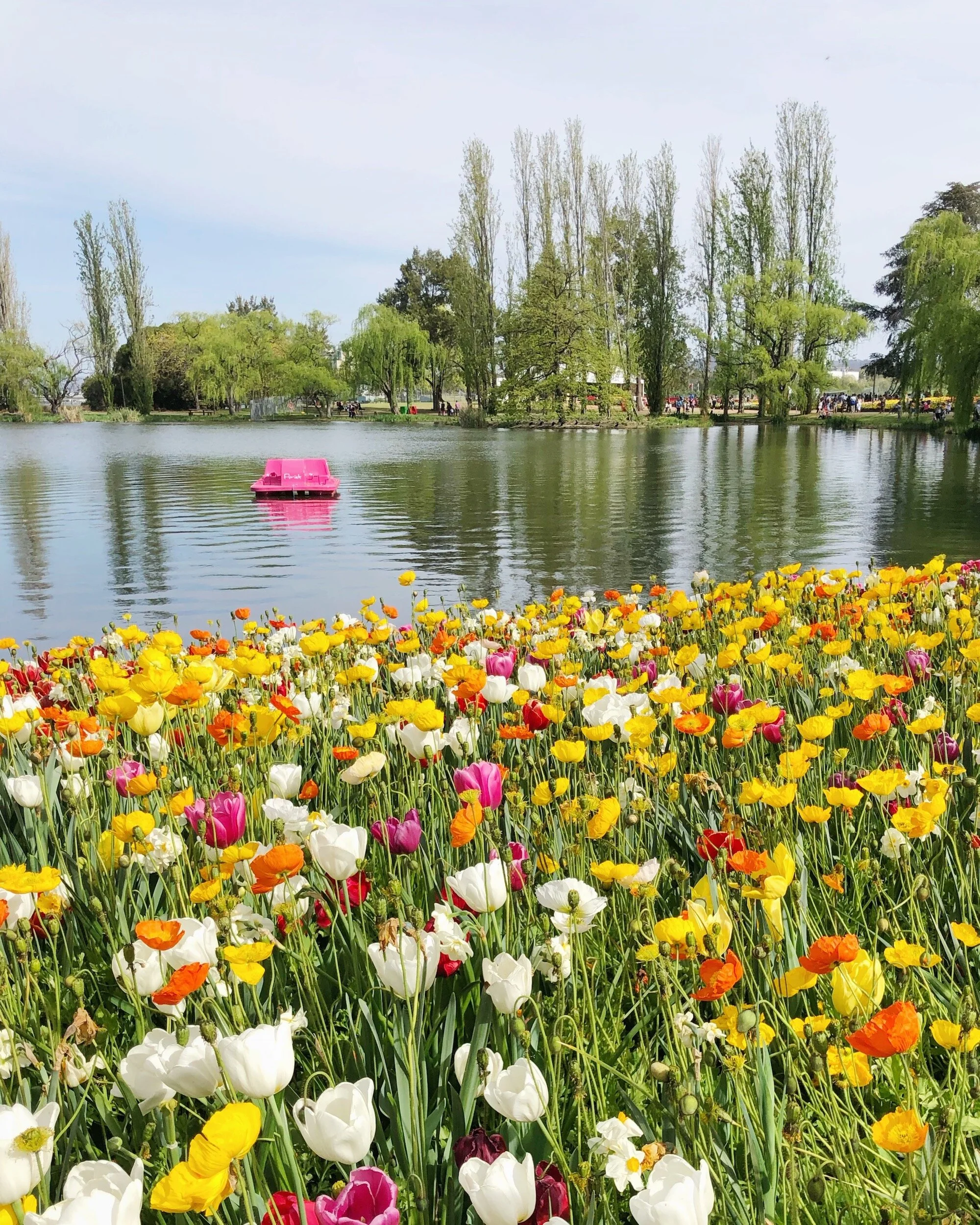 Floriade Flower Festival Canberra — McKean Studio