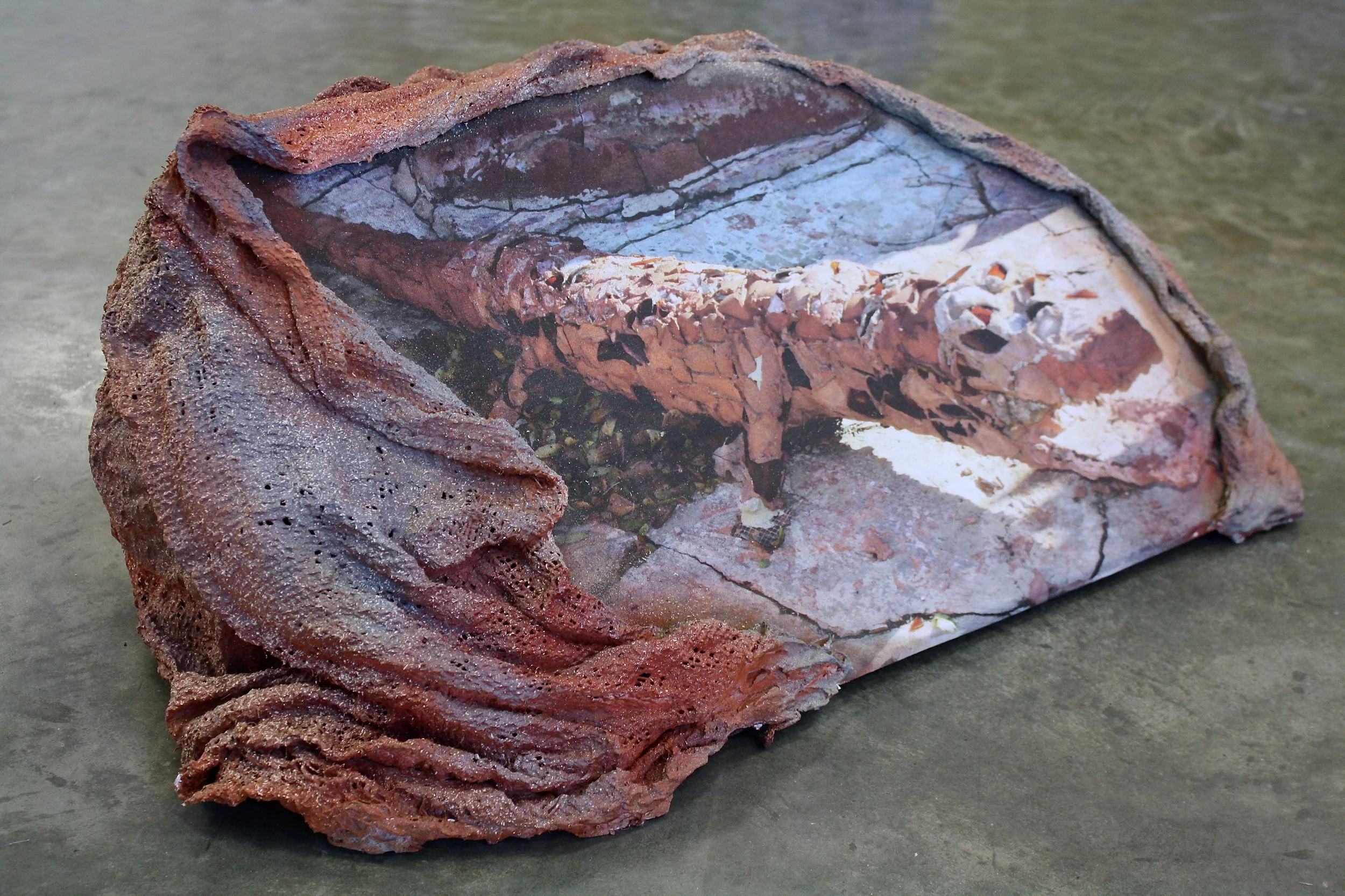 Terracotta Alligator 