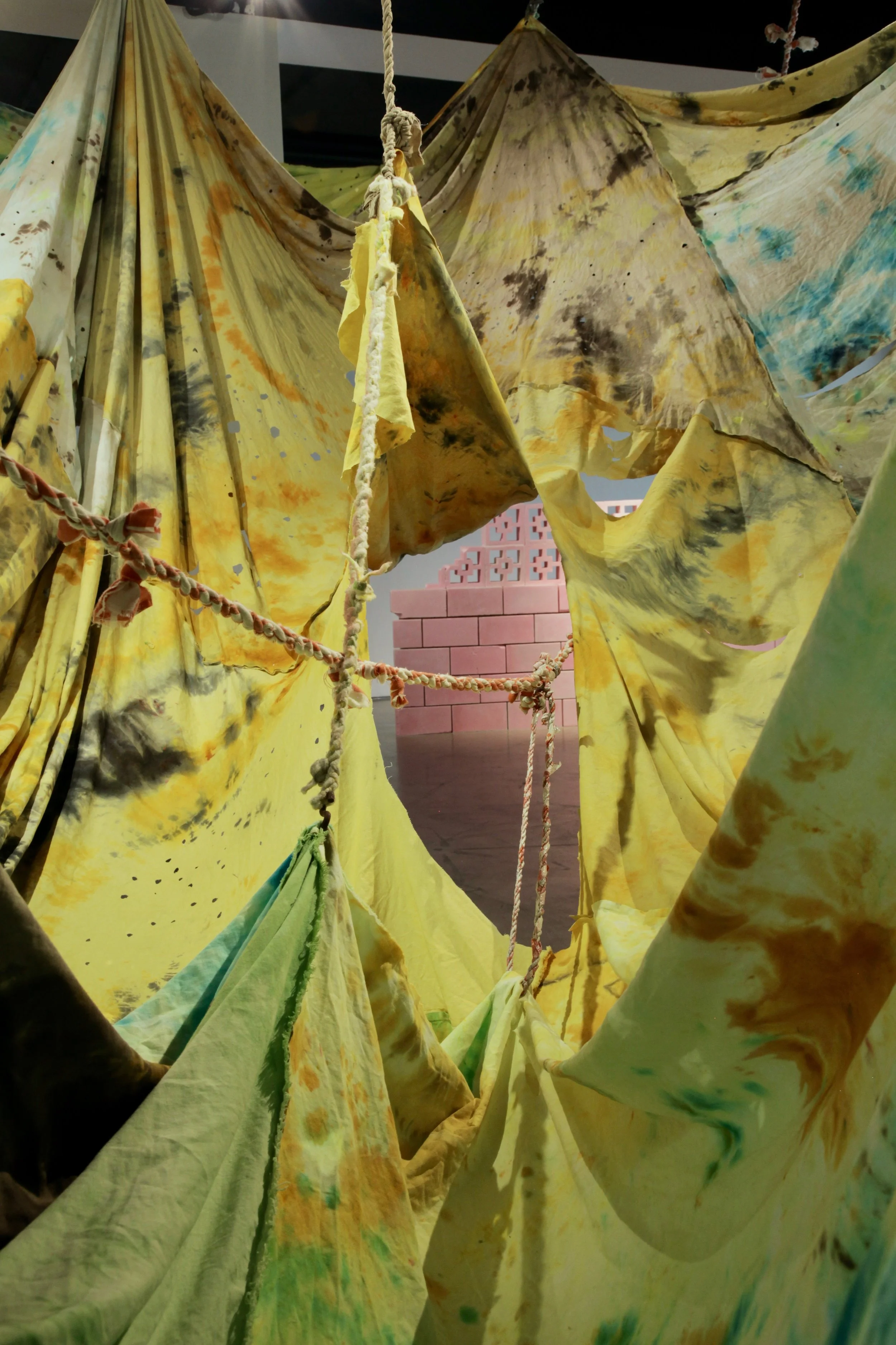 Chaparral II (detail)