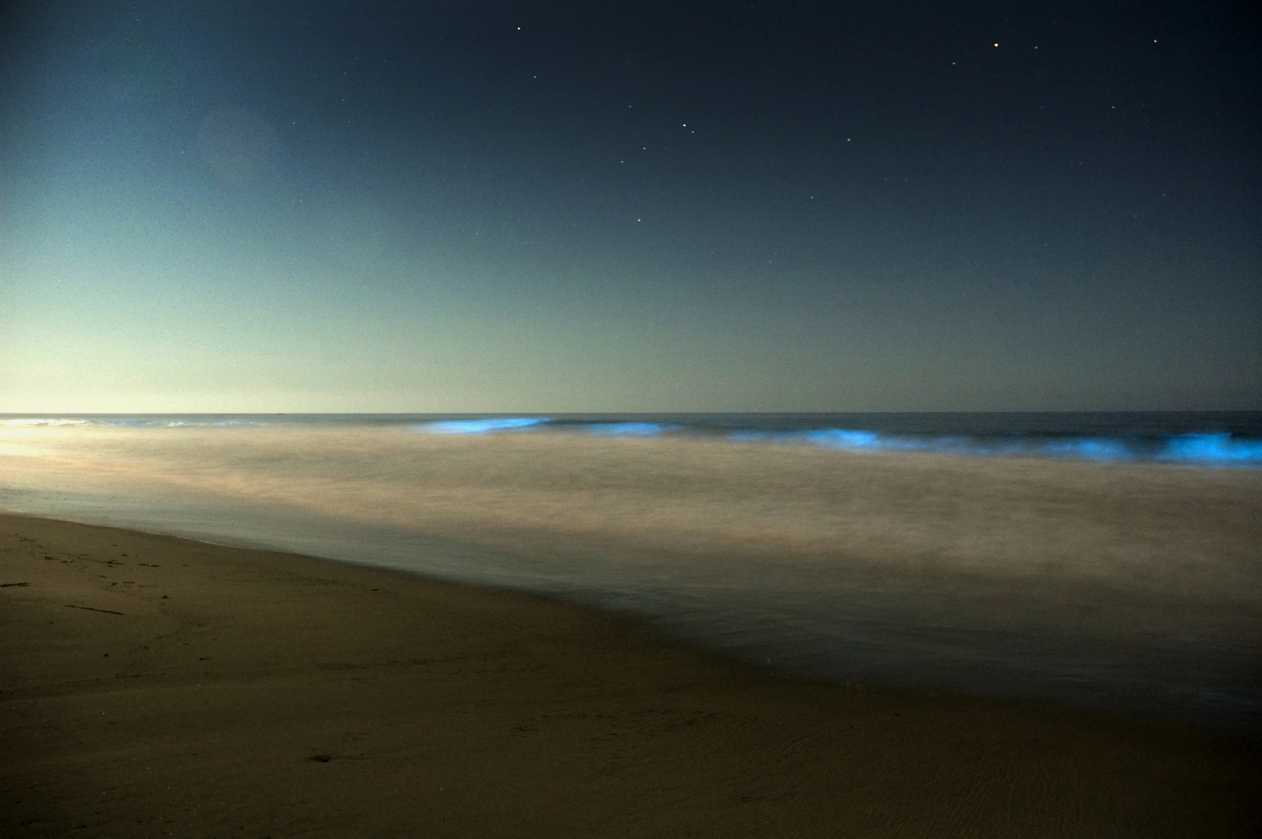 bioluminescent san clemente 3