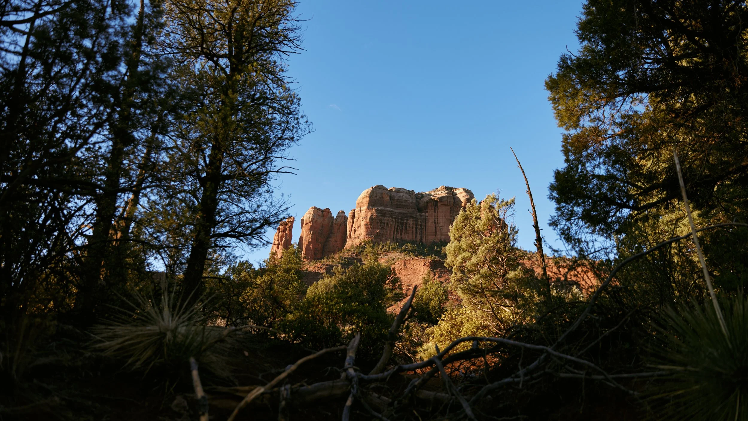 5A7A8822-1.jpg