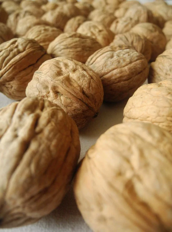 Recipe for traditional rum balls via Jennifer E. Snyder
