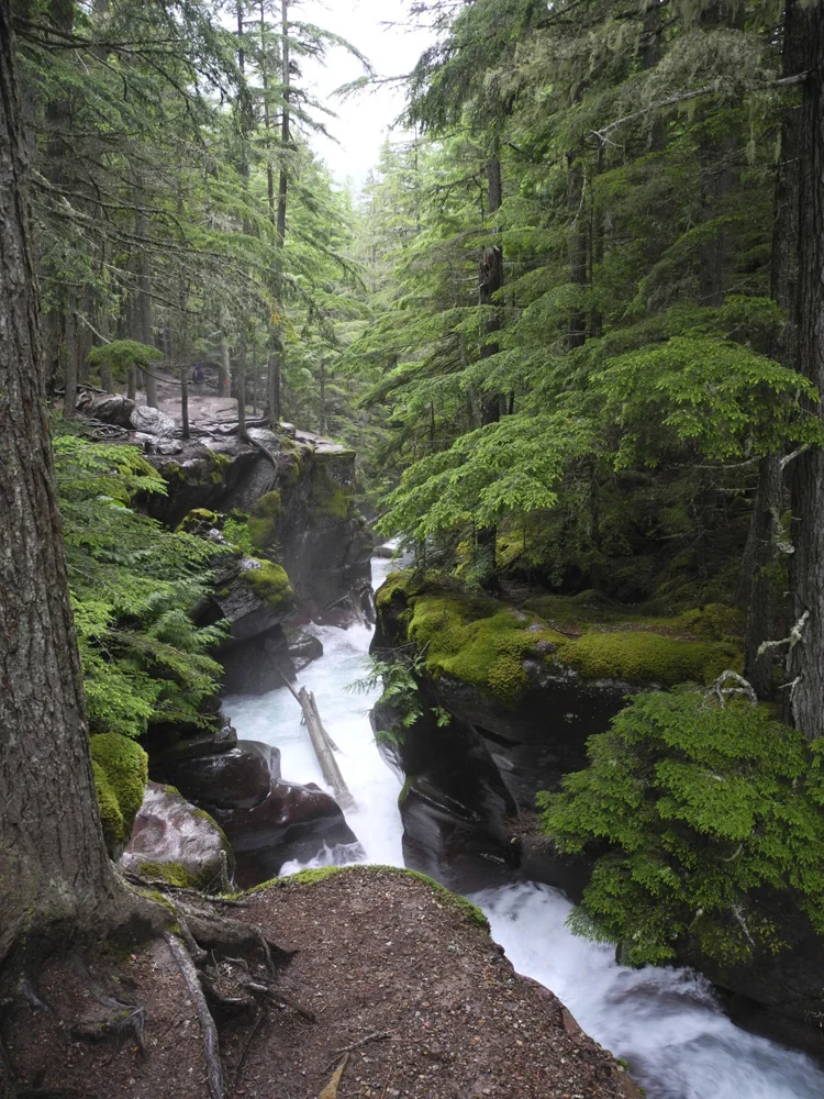Upper Avalanche Gorge, looking downstream.