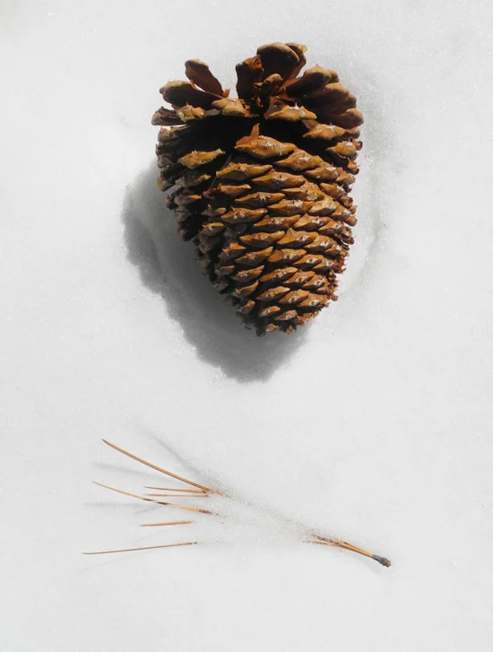 13 Ways to Get Into the Holiday Spirit
