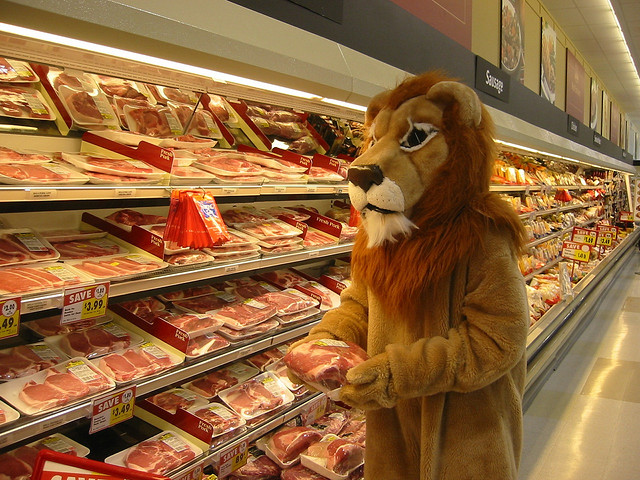 "My best friend Felice took this picture of me. We were on a break and went to the grocery store next door. I promise that's me inside the costume!" - Anne Ditmeyer