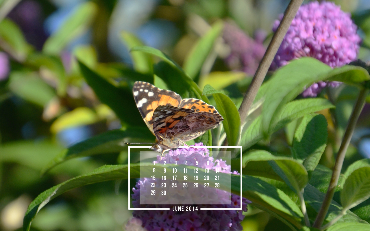 Free Digital Wallpaper Download — June 2014 — http://jenniferesnyder.com