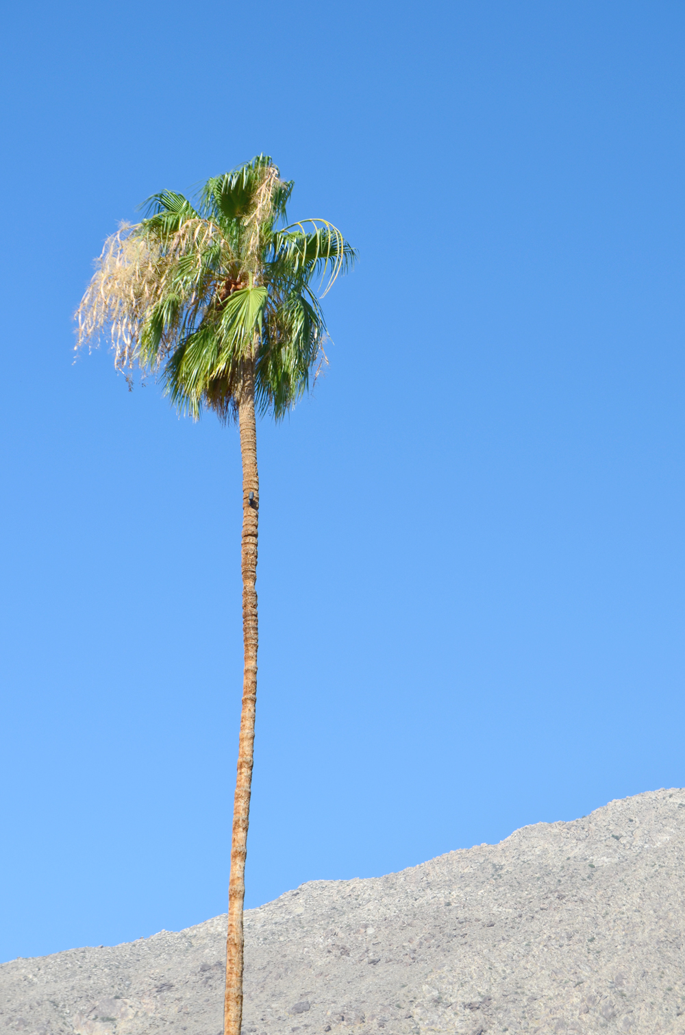 Palm Springs, California