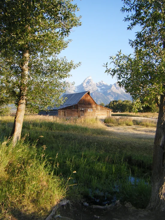 Trip Planning: In the Works + A Look Back