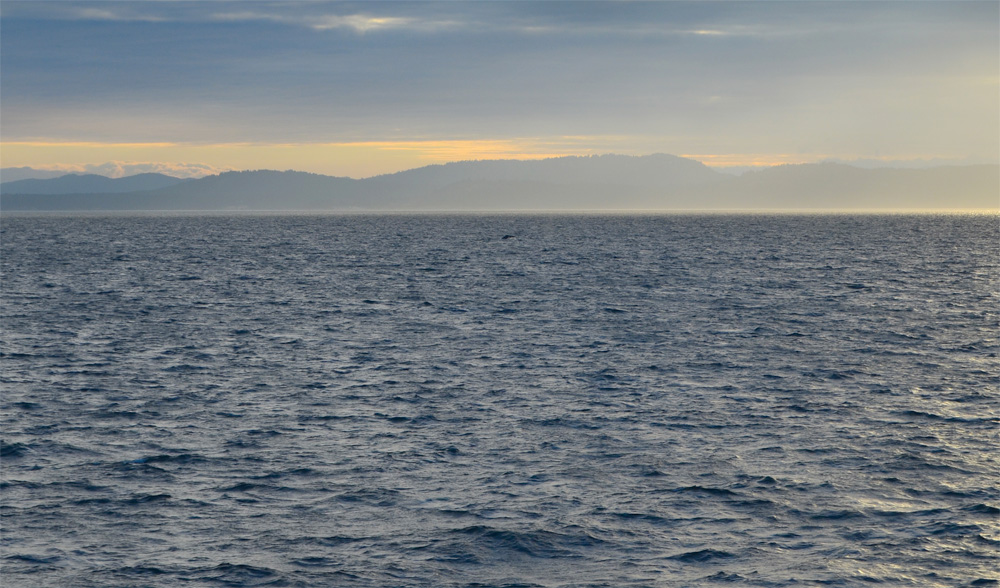 Photo Essay: (Pacific) Northwest is Best