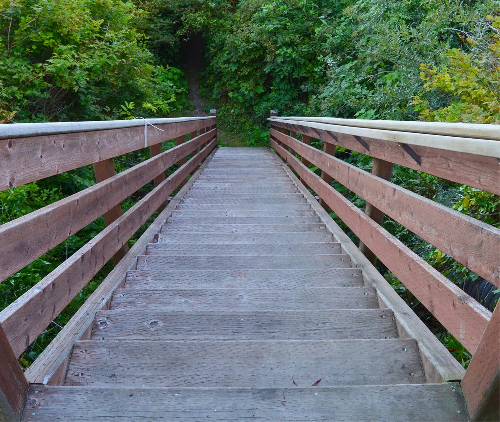 Photo Essay: (Pacific) Northwest is Best