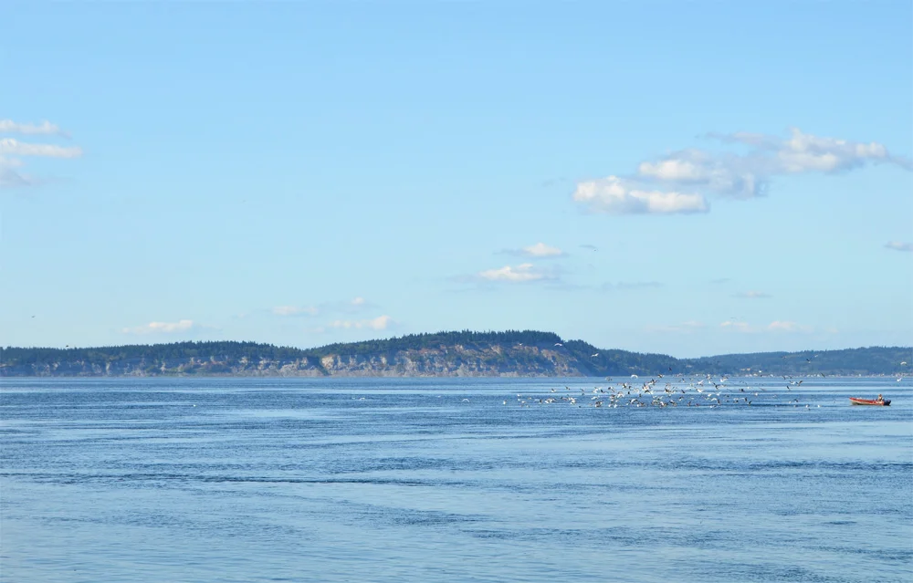 Photo Essay: (Pacific) Northwest is Best