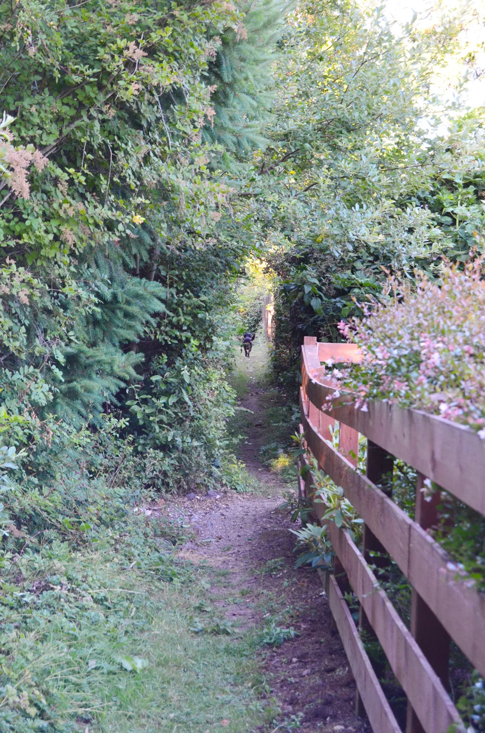 Photo Essay: (Pacific) Northwest is Best