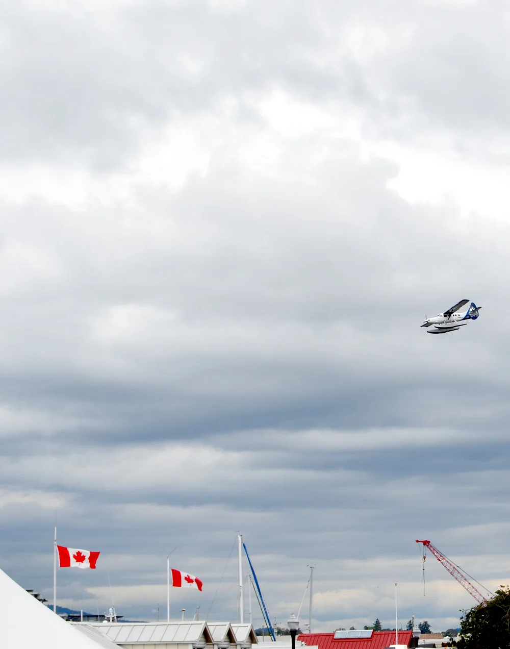 Go: The Victoria International Buskers Festival