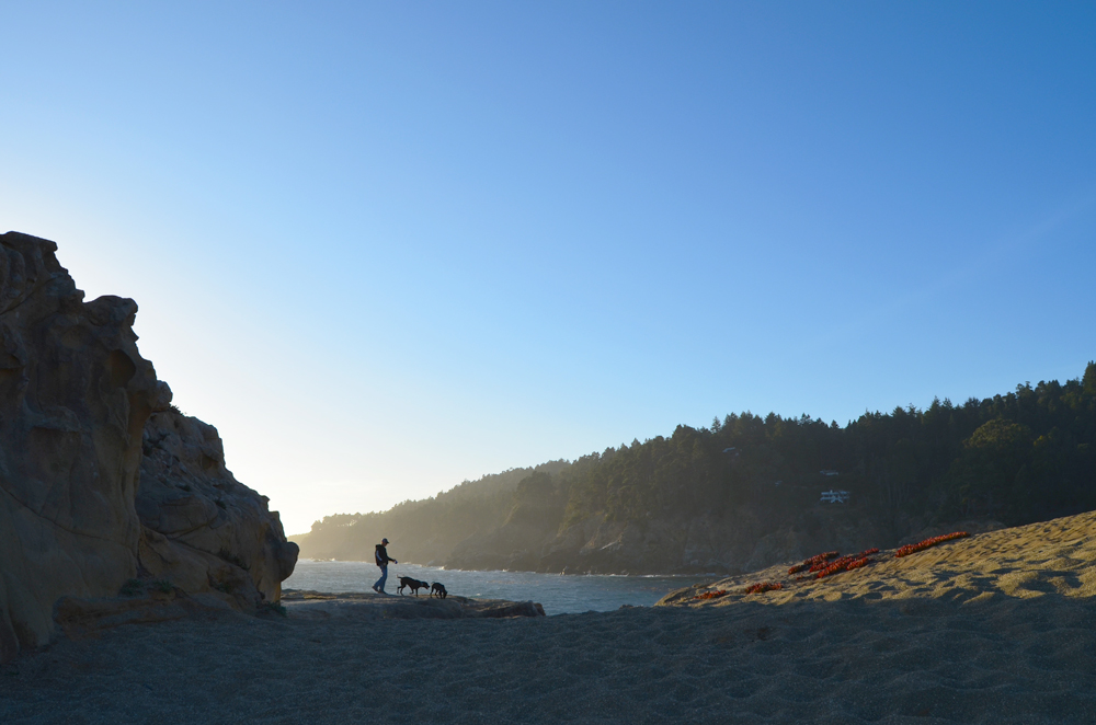 Unplugged at Ocean Cove // Highway 1 // Northern California