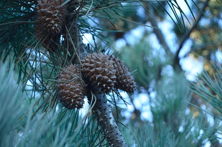 Photo Essay: Fall Camp Vibes