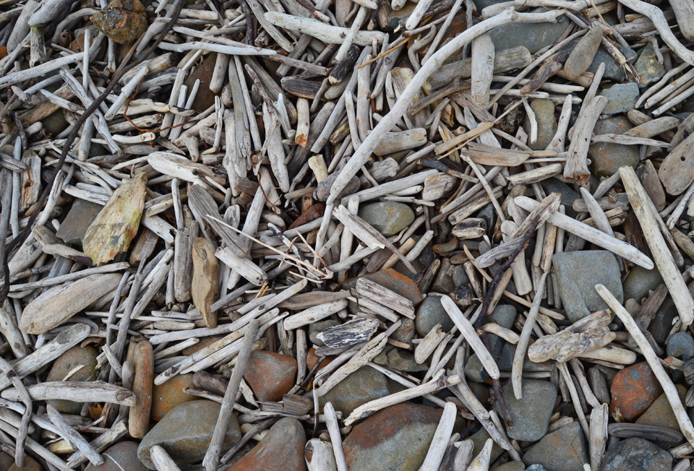 Driftwood piles at the Point St. George Heritage Area // Crescent City, CA