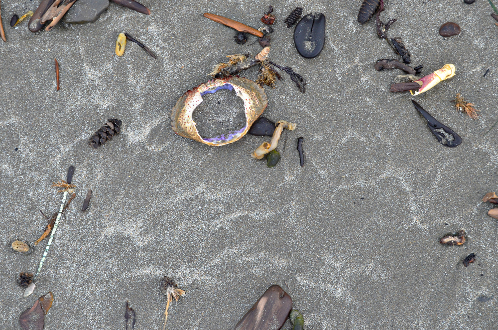 Point St. George Heritage Area // Crescent City, CA