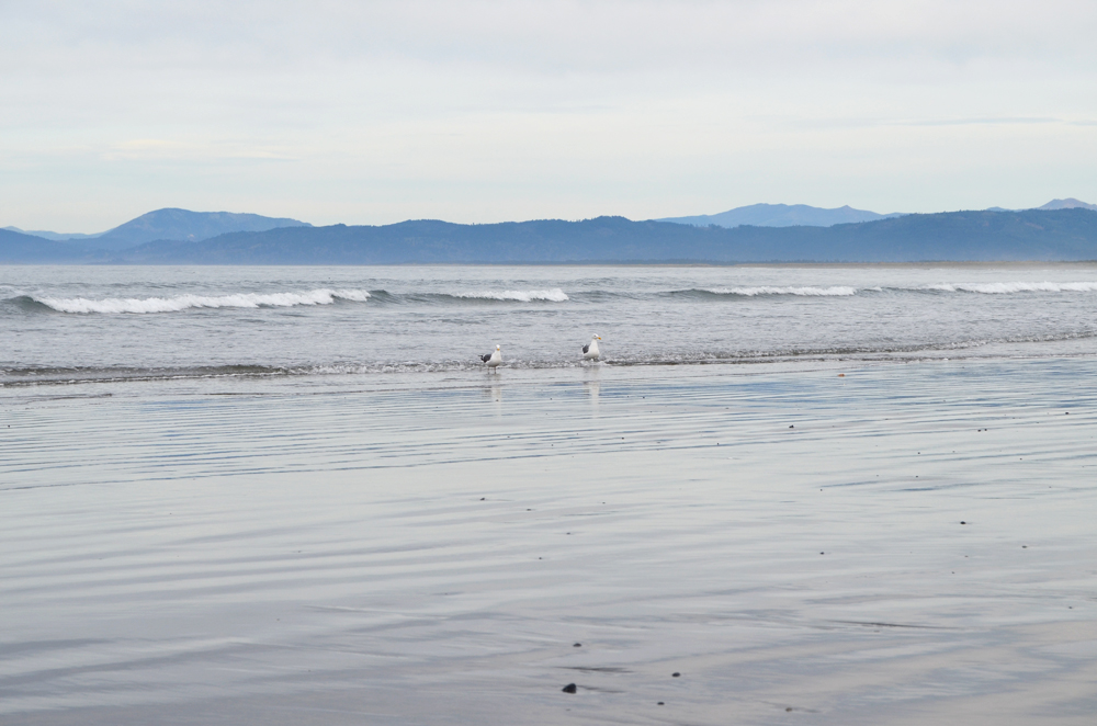 Point St. George Heritage Area // Crescent City, CA