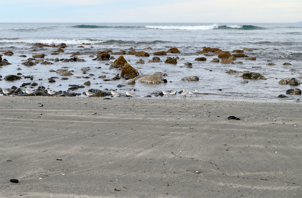 Point St. George Heritage Area // Crescent City, CA