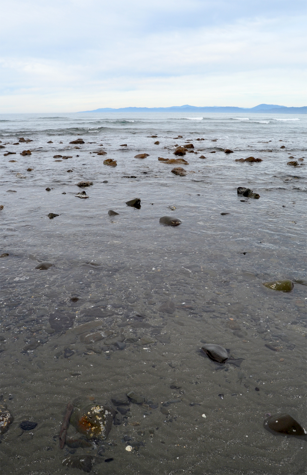 Point St. George Heritage Area // Crescent City, CA