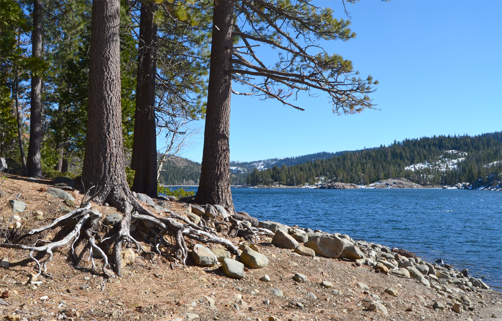 Day trip to explore Tahoe National Forest.