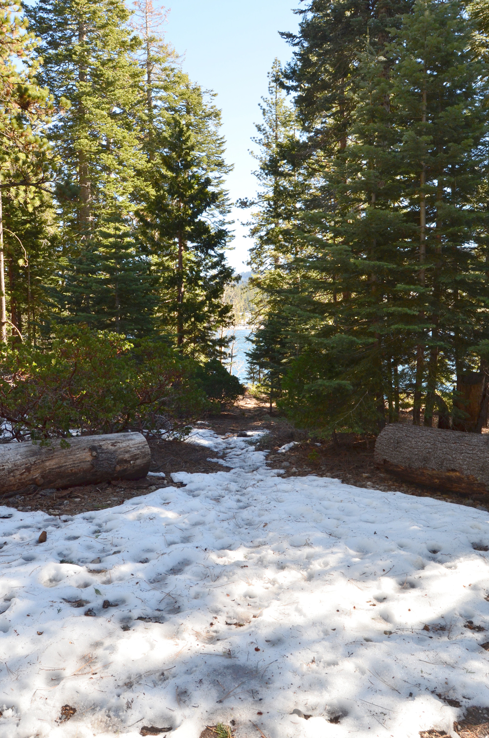 Day trip to explore Tahoe National Forest.