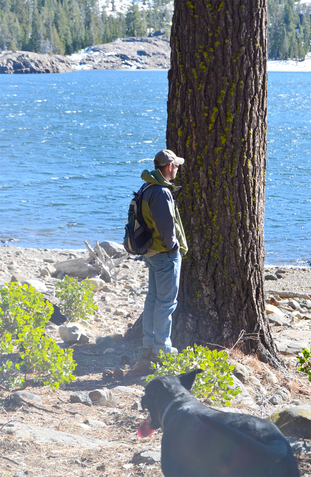 Day trip to explore Tahoe National Forest.