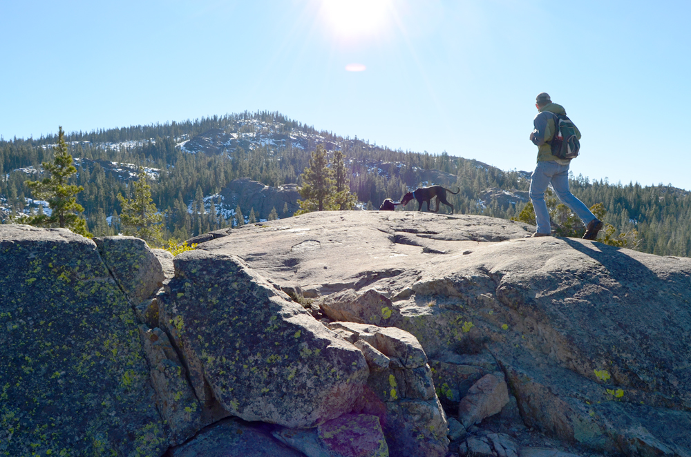 Day trip to explore Tahoe National Forest.