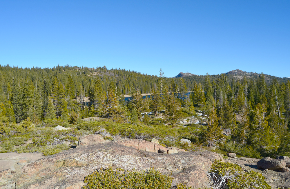 Day trip to explore Tahoe National Forest.