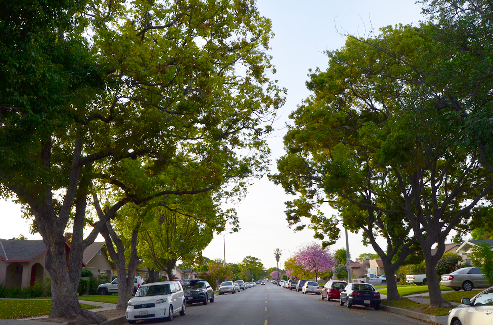 A Love Letter to Atwater Village