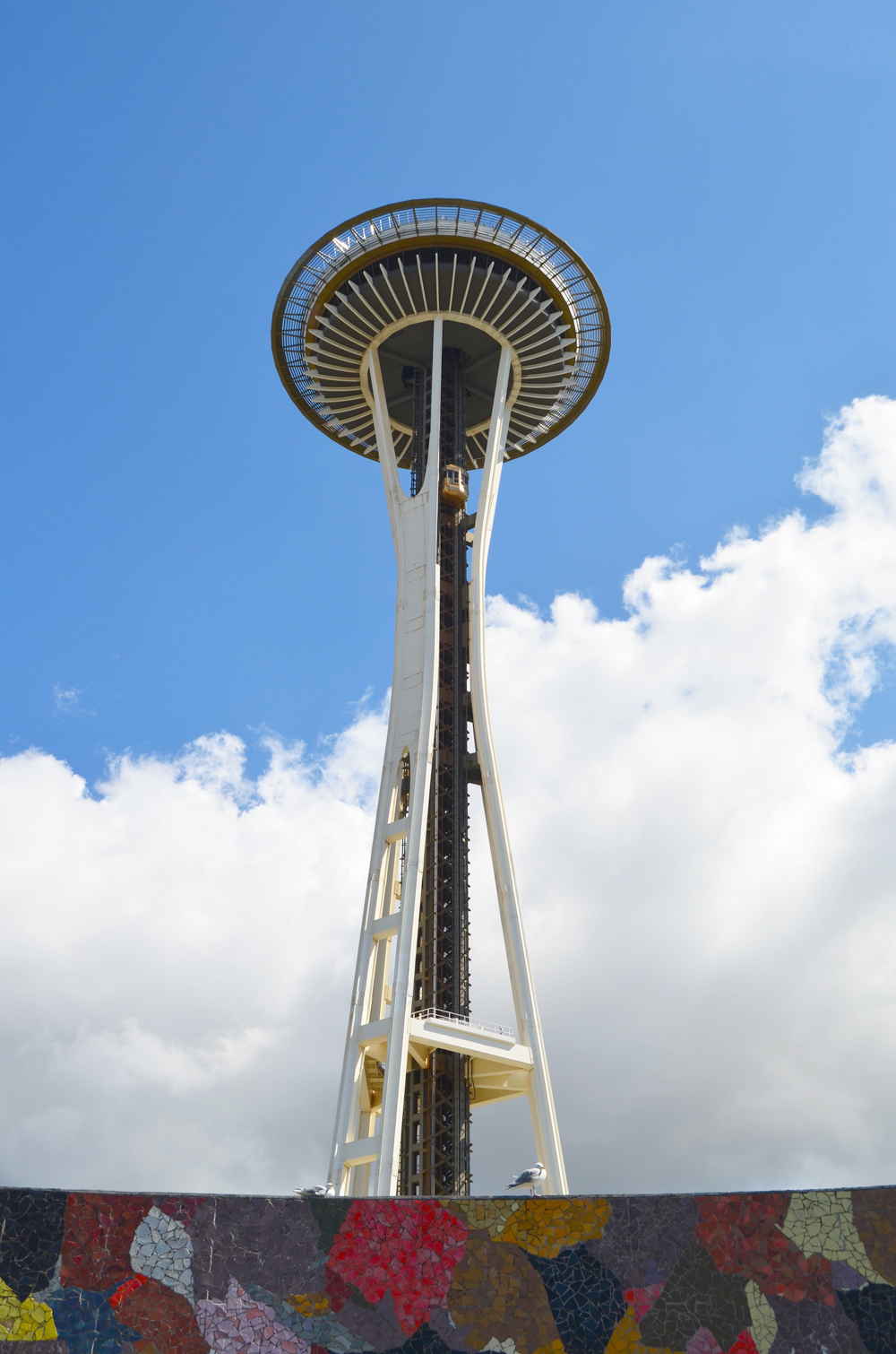 Springtime in Seattle, WA