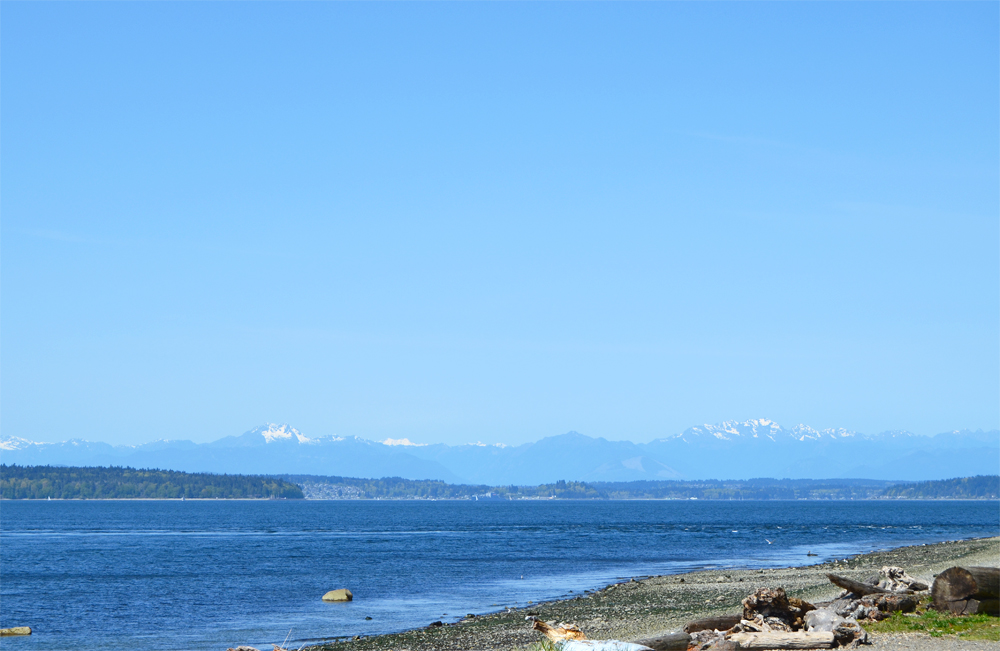 Springtime in Seattle, WA