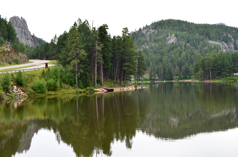 Black Hills | South Dakota