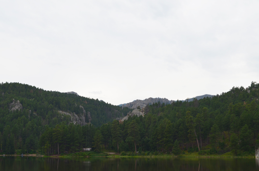 Black Hills | South Dakota