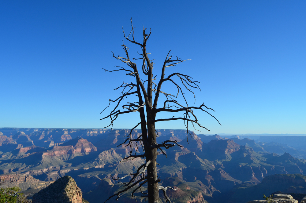 Grandview Point // How to Spend Your Birthday Alone at the Grand Canyon in 31 Simple Steps