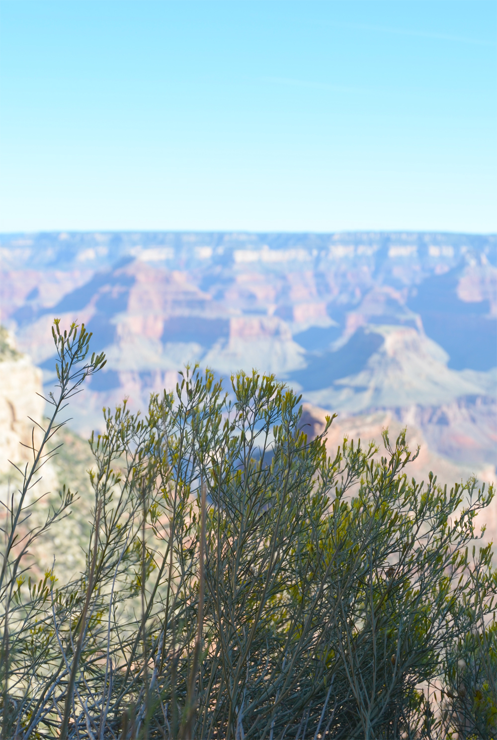Bright Angel Trail // How to Spend Your Birthday Alone at the Grand Canyon in 31 Simple Steps