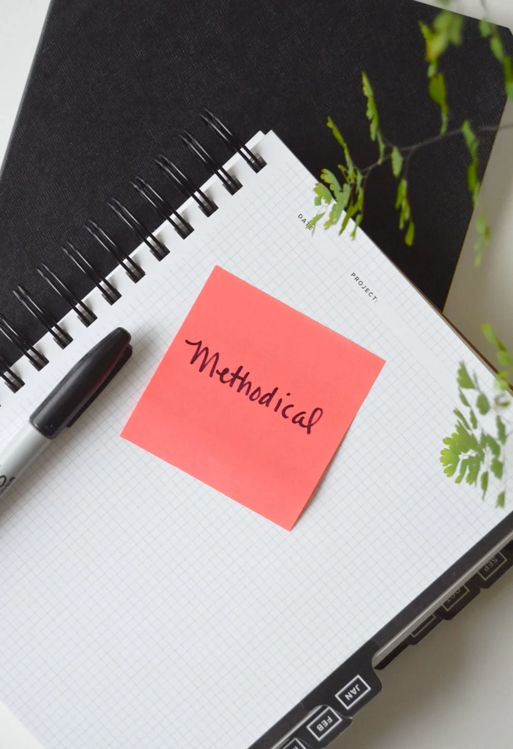My Word for 2016: Methodical