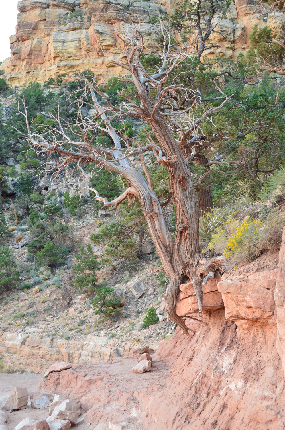 South Kaibab Trail // Grand Canyon National Park