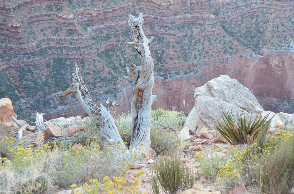 South Kaibab Trail // Grand Canyon National Park
