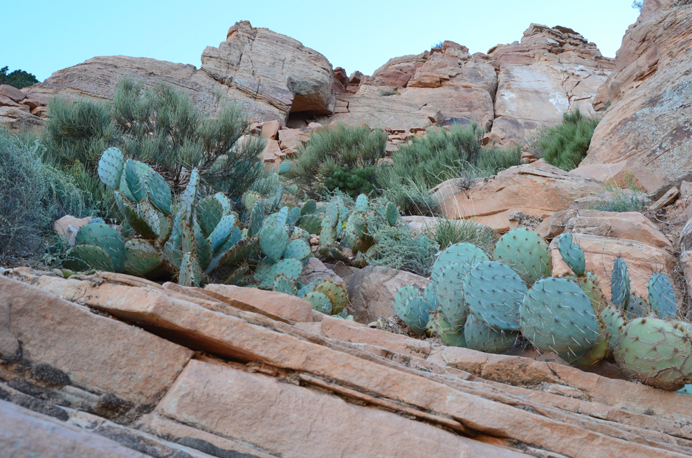 South Kaibab Trail // Grand Canyon National Park