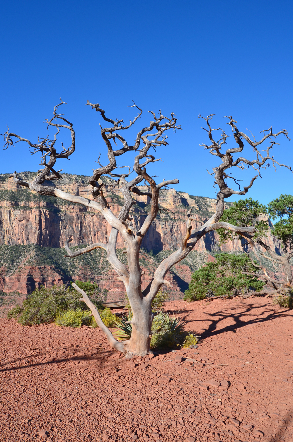 South Kaibab Trail // Grand Canyon National Park