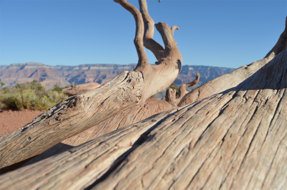 South Kaibab Trail // Grand Canyon National Park