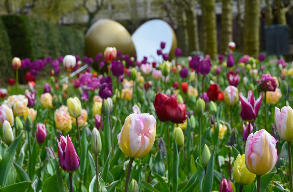Amsterdam in spring