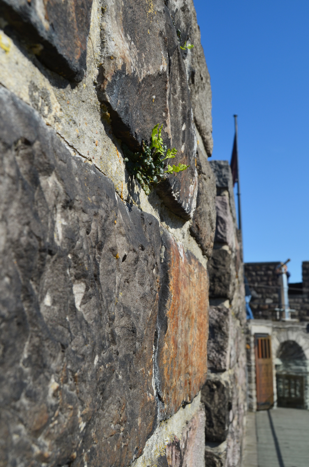 The Gravensteen // Ghent, Belgium
