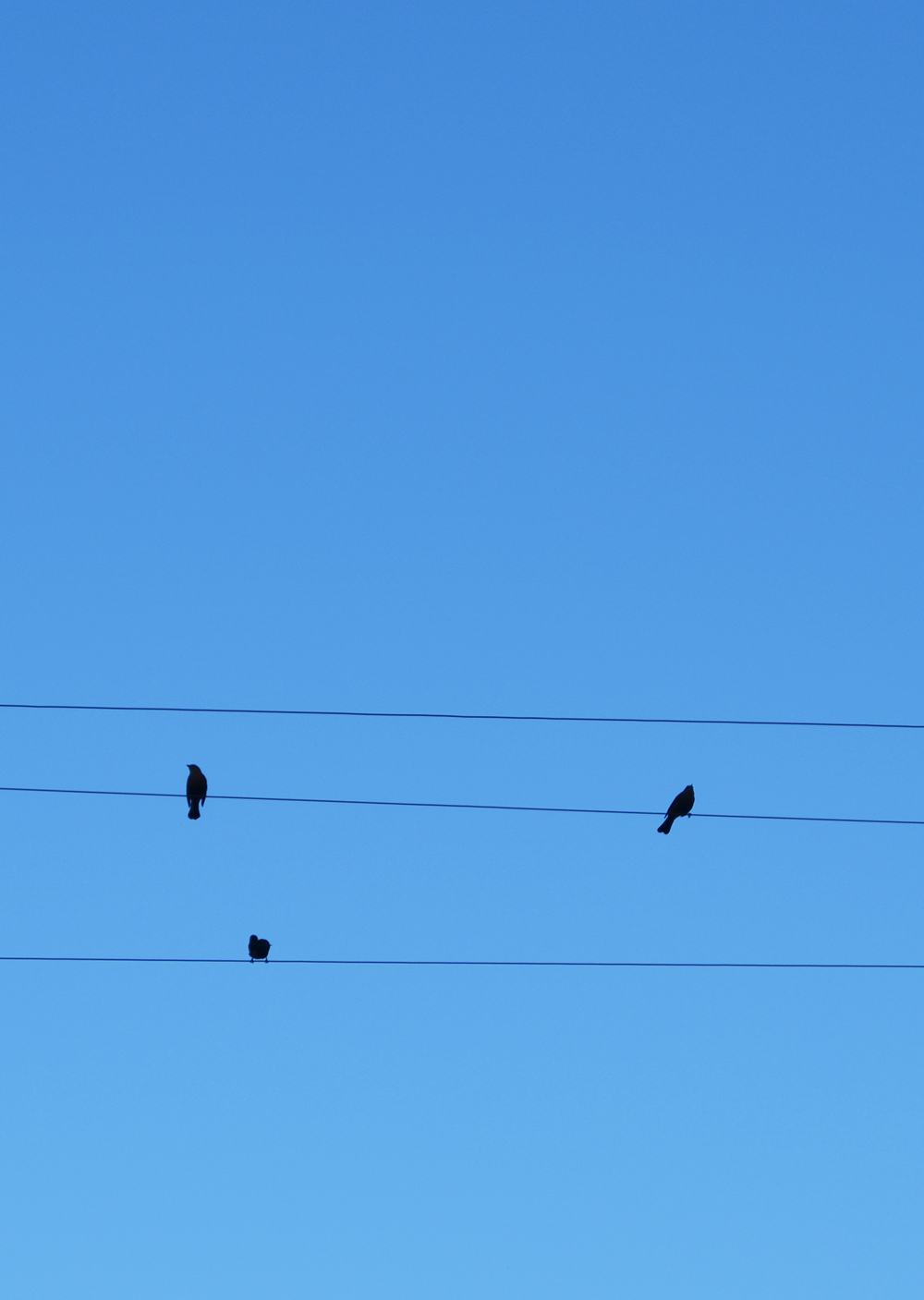 The (Seemingly) Lost Art of Running a Business Like a Human Being // jenniferesnyder.com