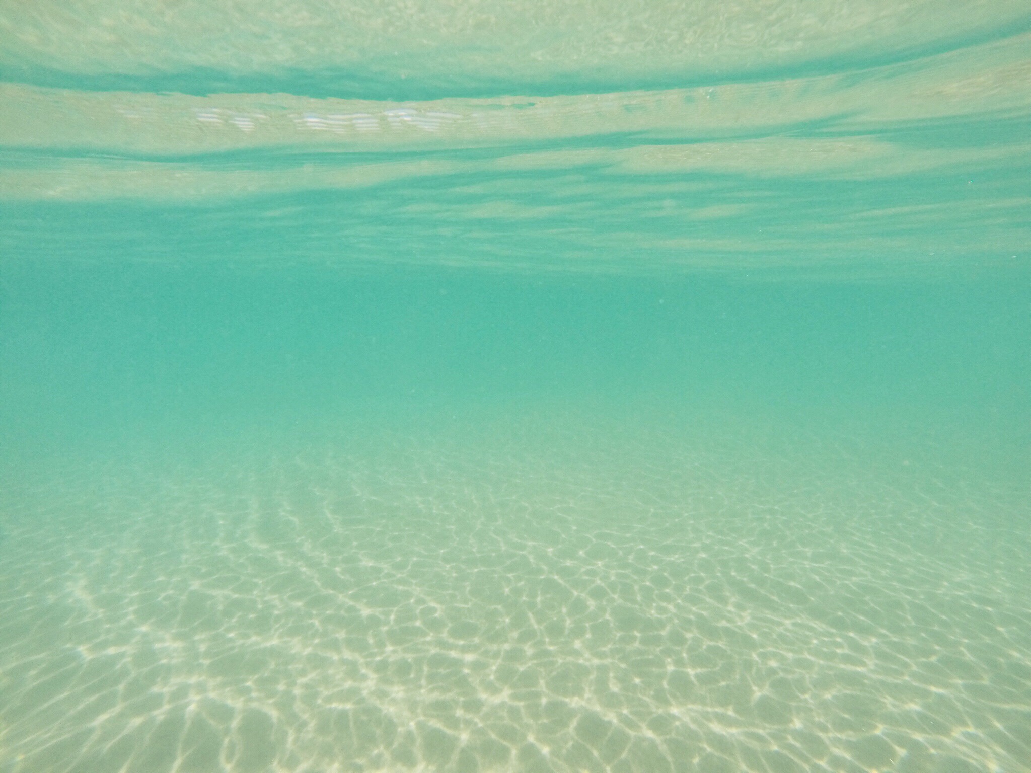 Photo: Laura Thatcher via Twenty20