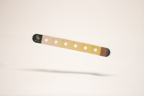 icterometer bili-ruler™ - Little Sparrows Technologies